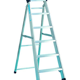 Warrior 12 Rung Industrial Steps